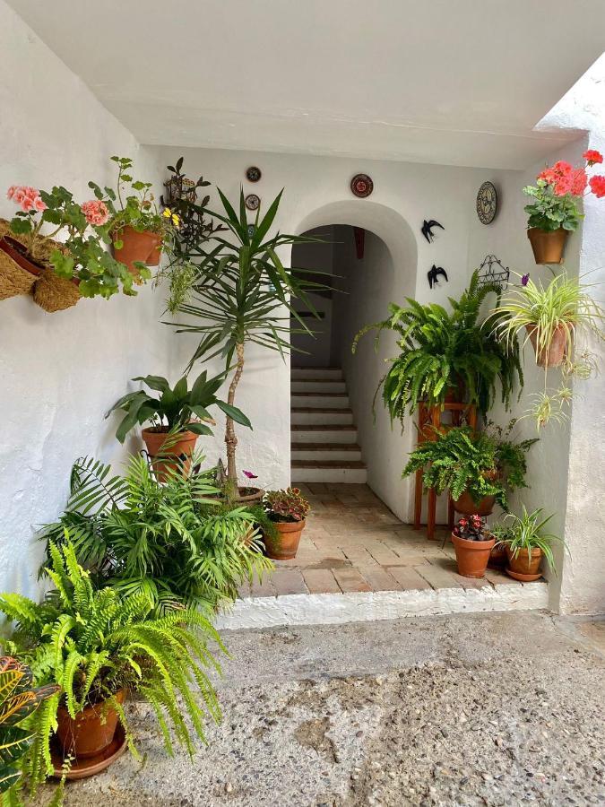 コルドバAmal Casa De Huespedesアパートメント エクステリア 写真
